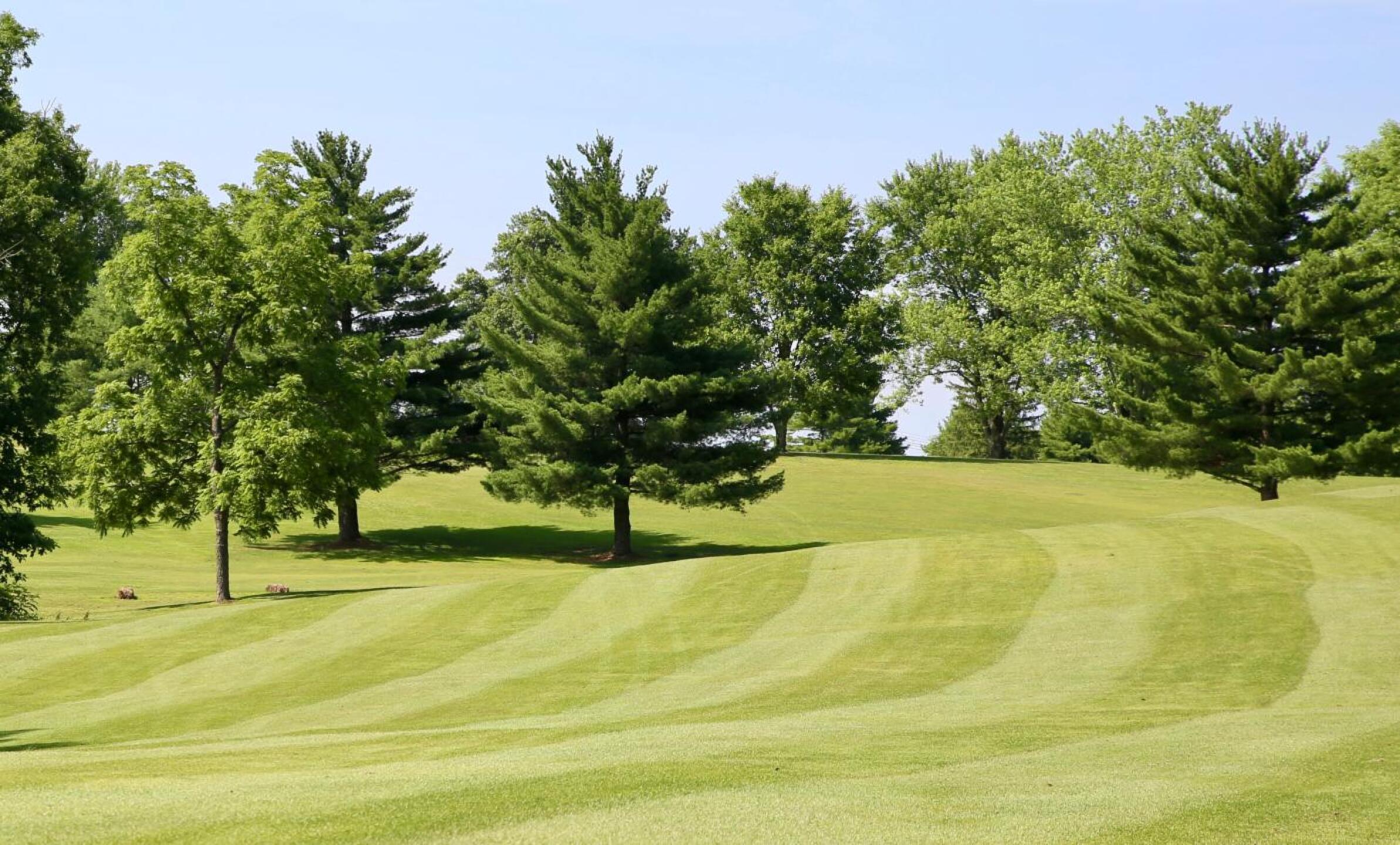 Fairway at Wildfire (Photo submitted by nxtEtxYt6YrFnd50XIXe on 09/10/2019)