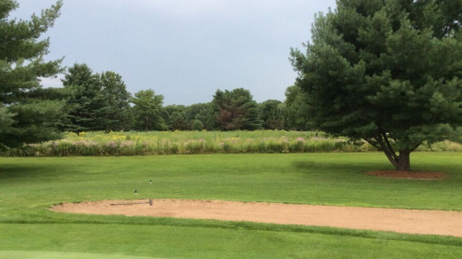 Fulton CC