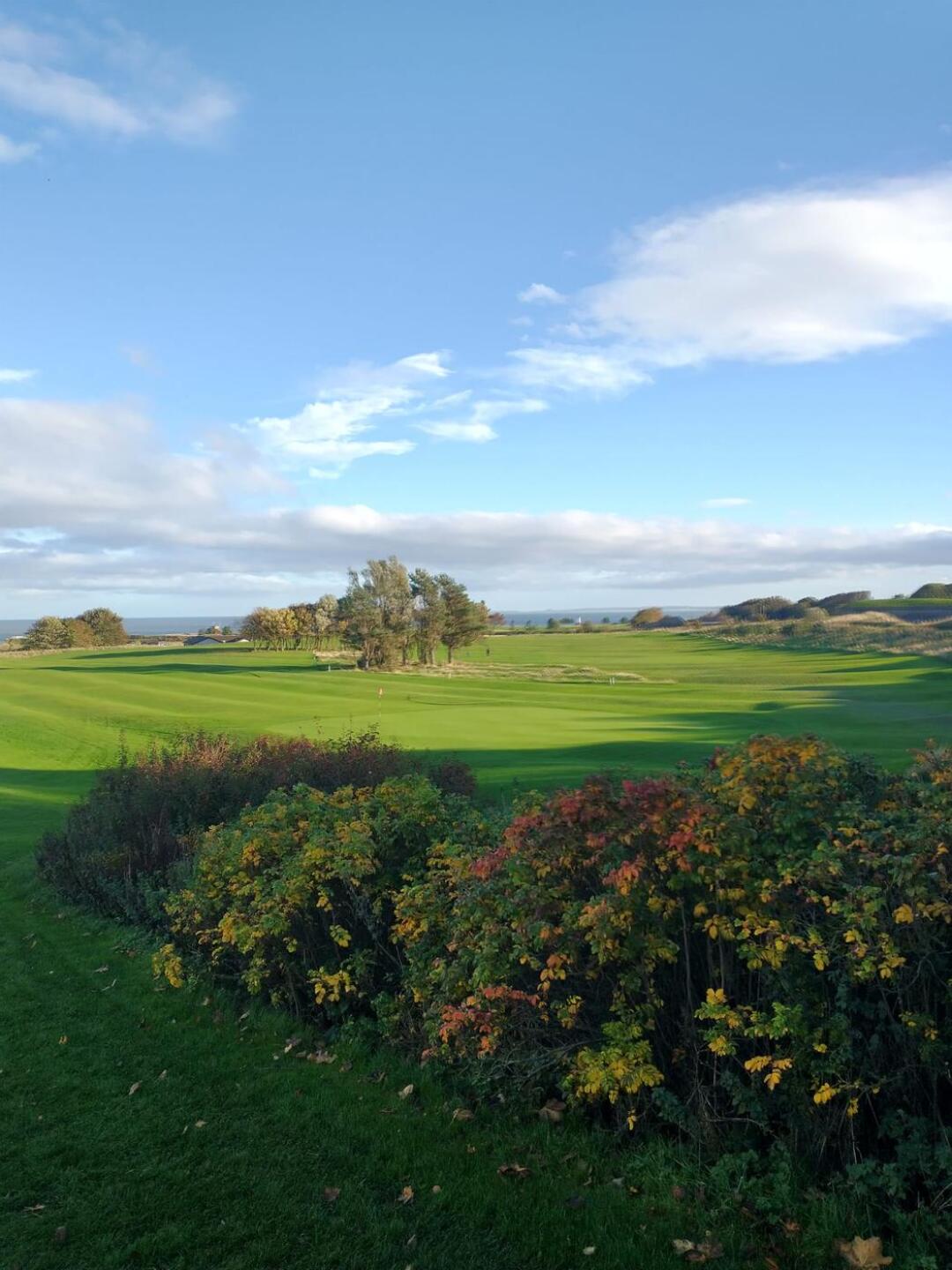 (Photo submitted by Tedbeargolf on 10/24/2022)