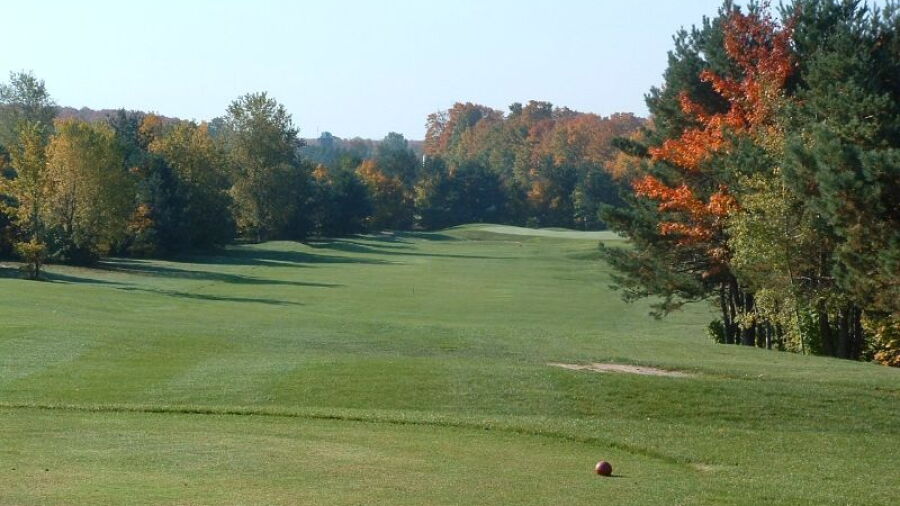 Timber Wolf GC