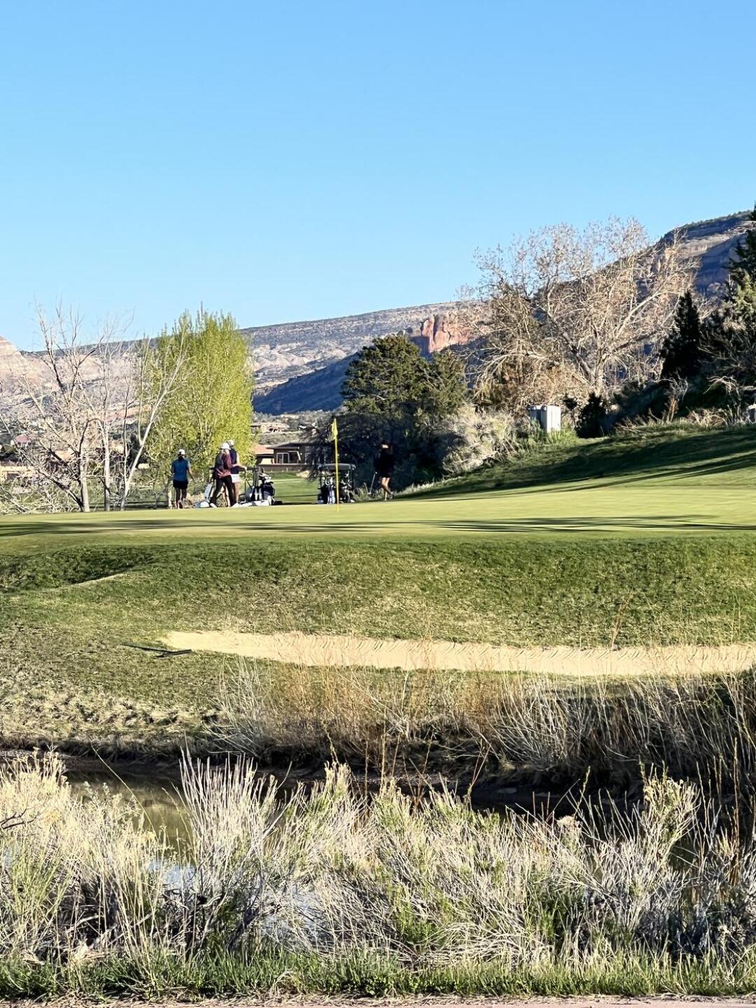 (Photo submitted by igRidMo7ZqTMnIYAdJAm on 01/22/2026)