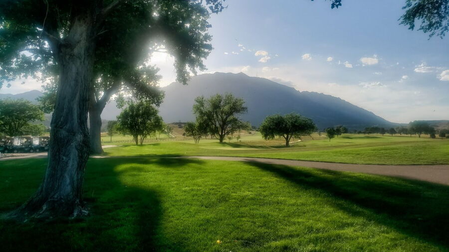 Cheyenne Shadows GC