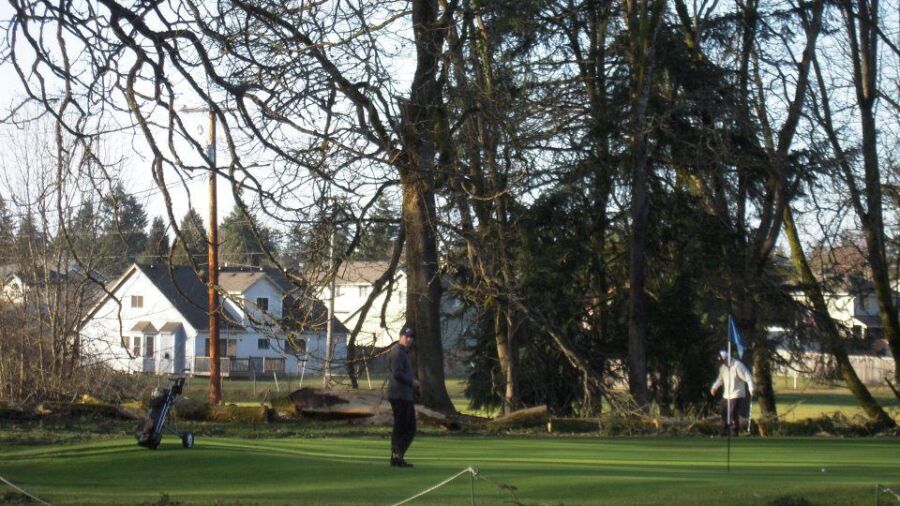 Brookdale GC: #12