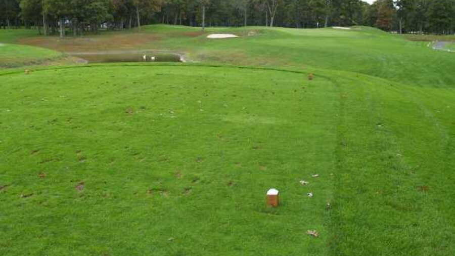 Thunderbird at Spring Lake GC: #3