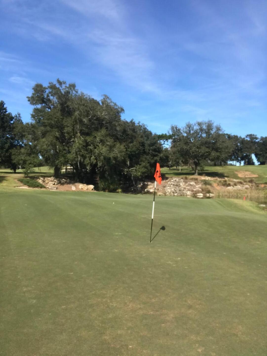 (Photo submitted by PinnacleStaffer on 11/26/2019)