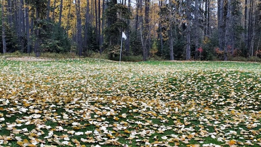 Edson GCC