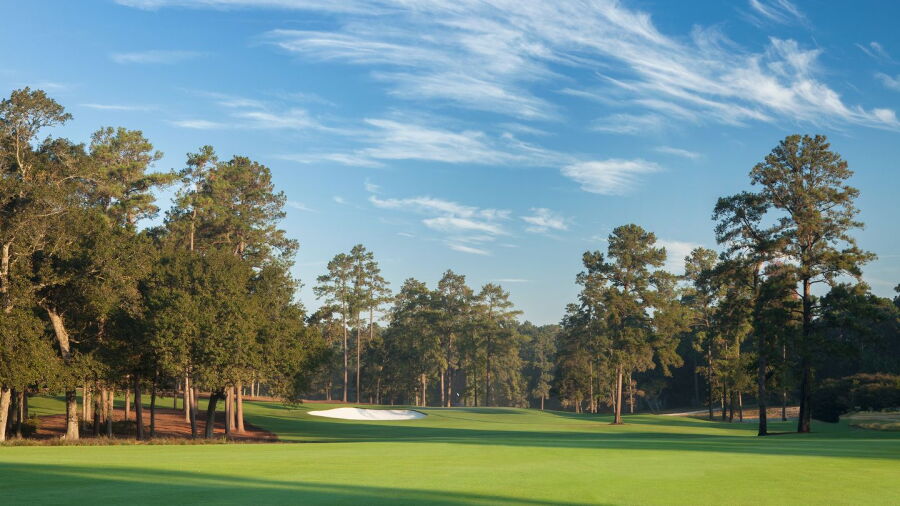 Bluejack National: #5