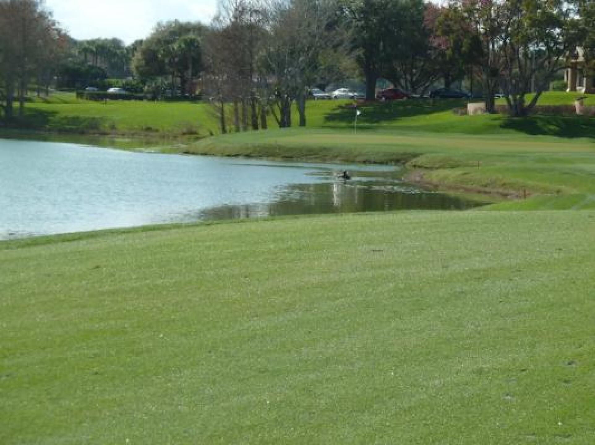 Hole #9 (Photo submitted by KatharineDyson on 02/12/2014)