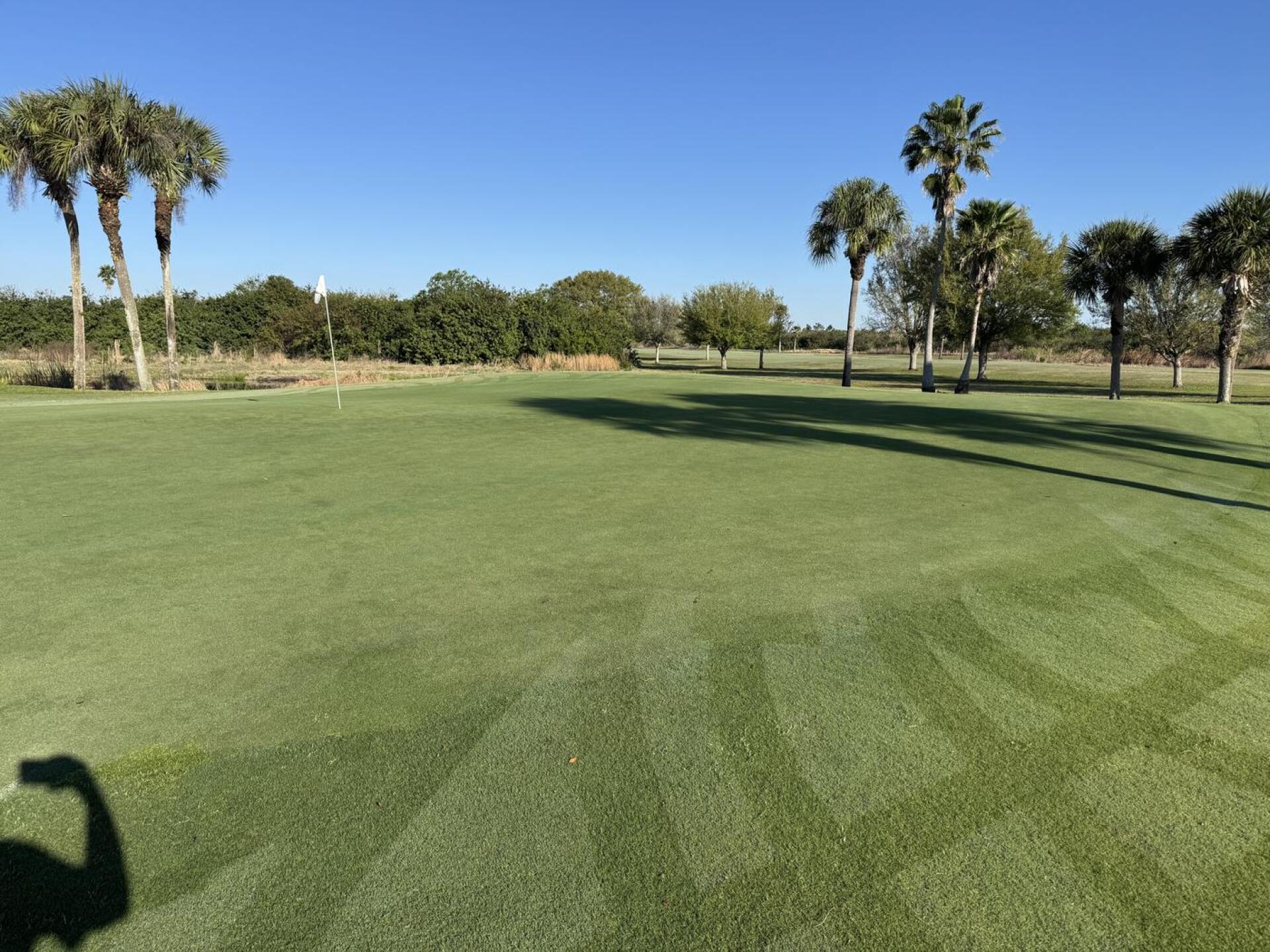 (Photo submitted by X3Azujbe55S9HkMaEAai on 03/25/2026)