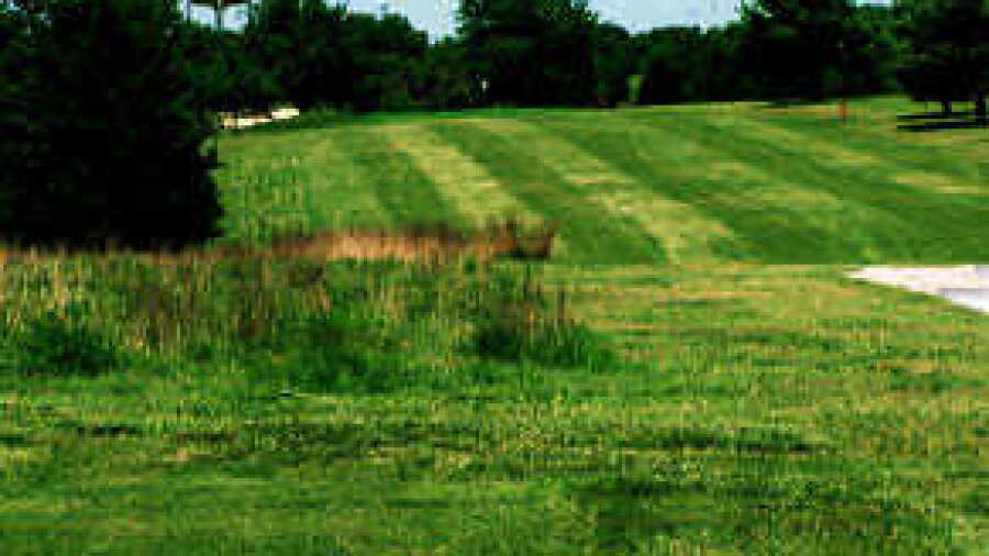 Marion CC