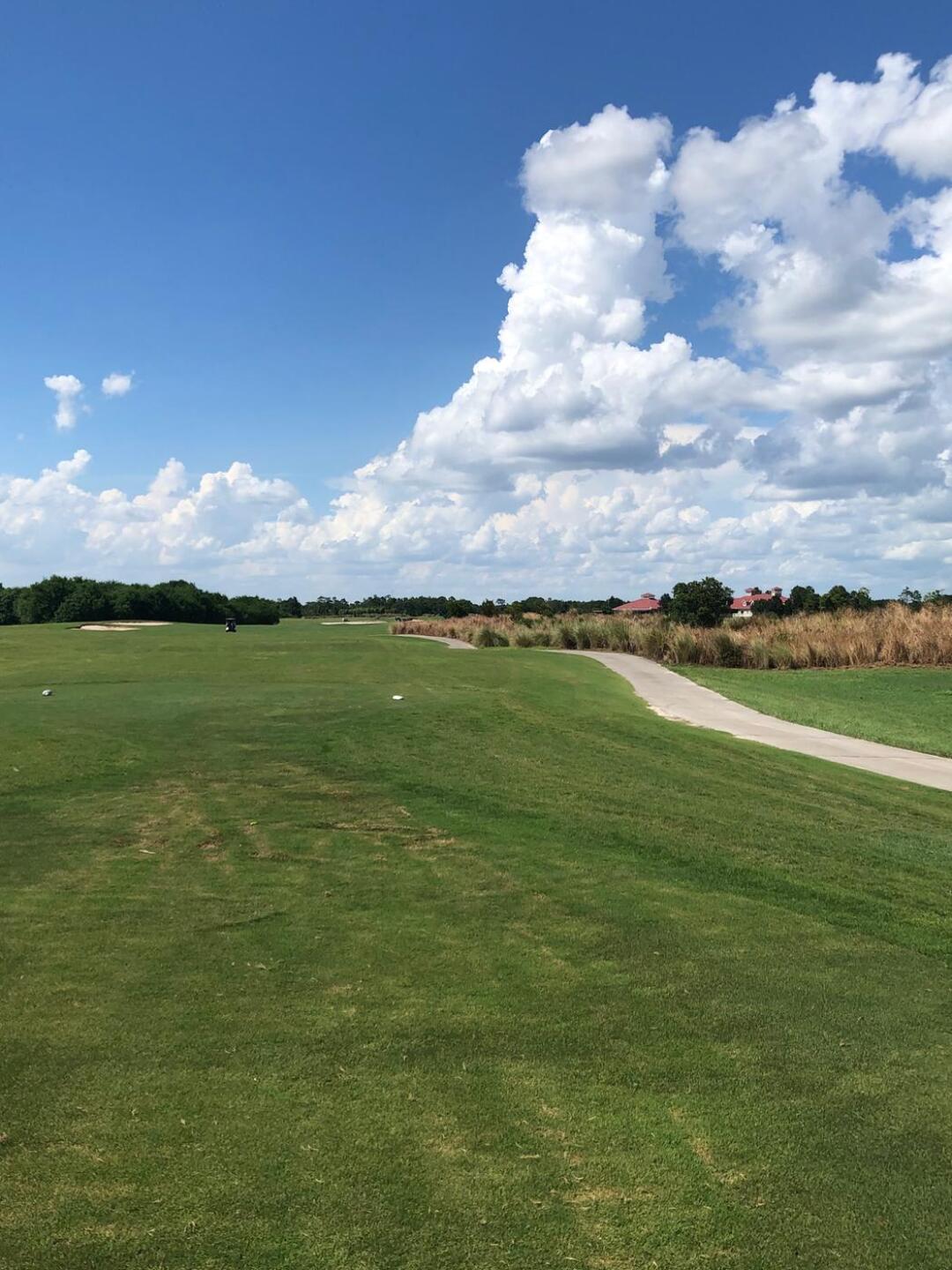 (Photo submitted by lyncher89 on 08/10/2020)