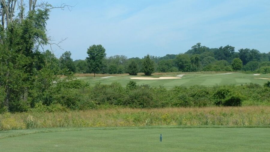 Hayfields CC: #12