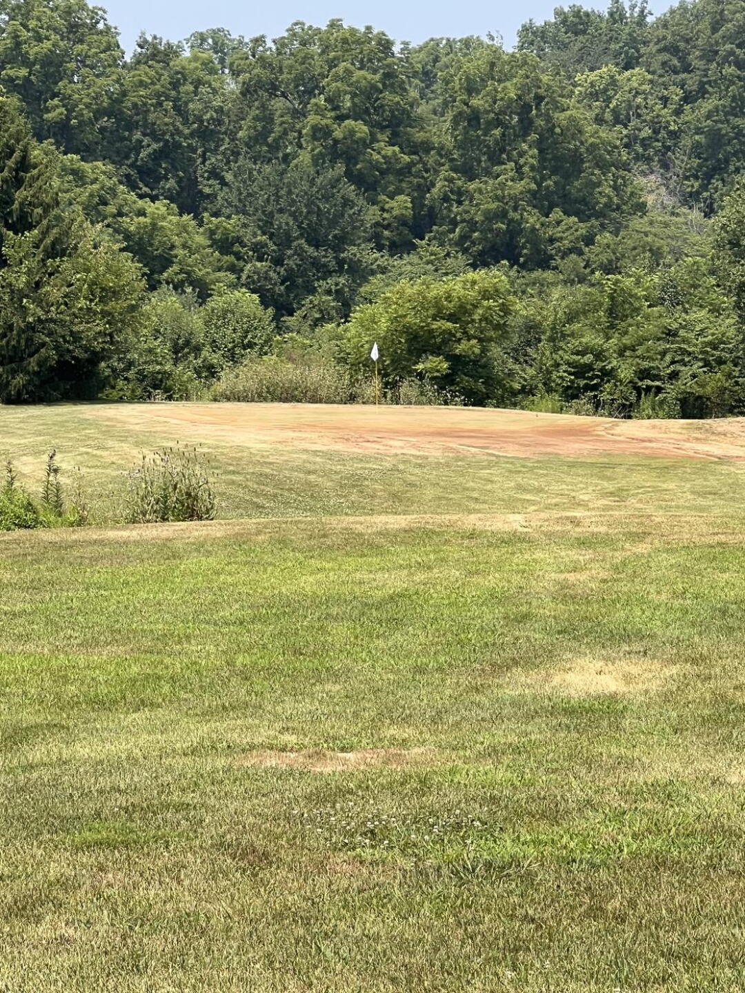 Dead green. (Photo submitted by u000002880396 on 07/19/2026)