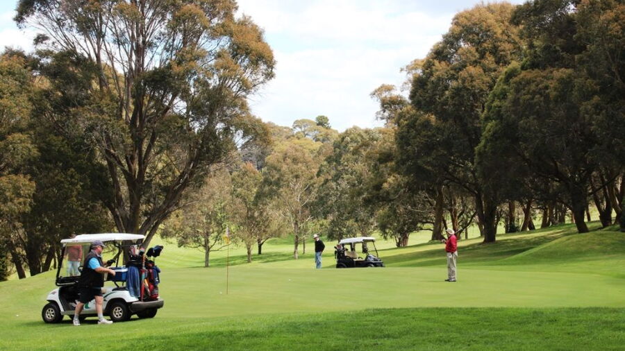 Oberon GC