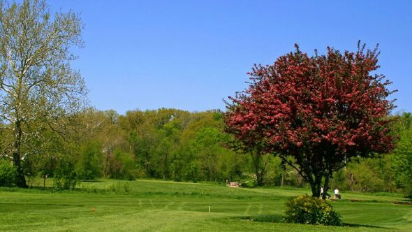 Edgewood GC: #6