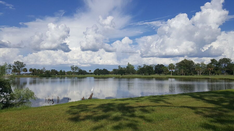 Kissimmee GC: #7