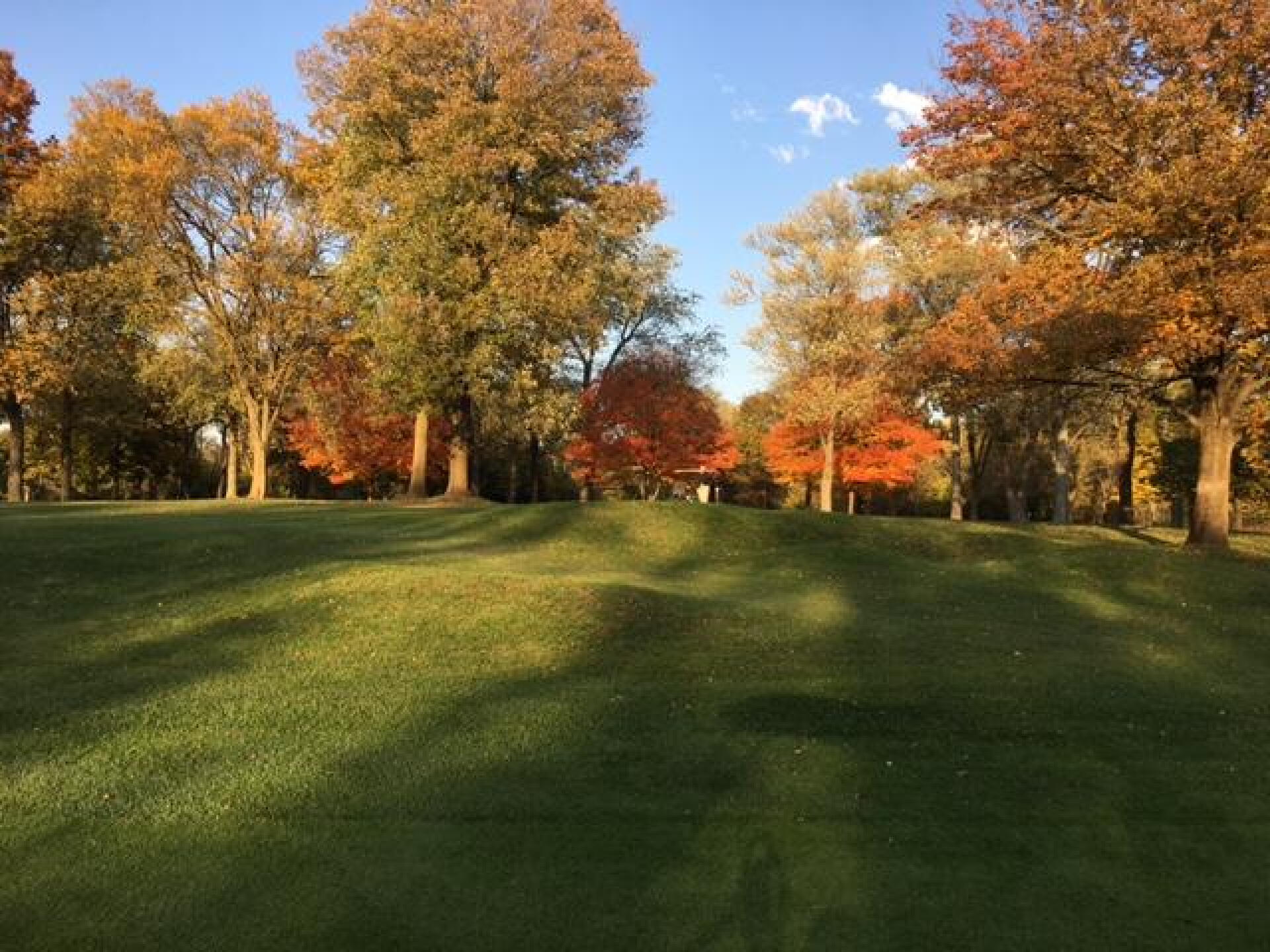 trees in full color along #16 fairway (Photo submitted by fendsonbacker on 11/02/2016)