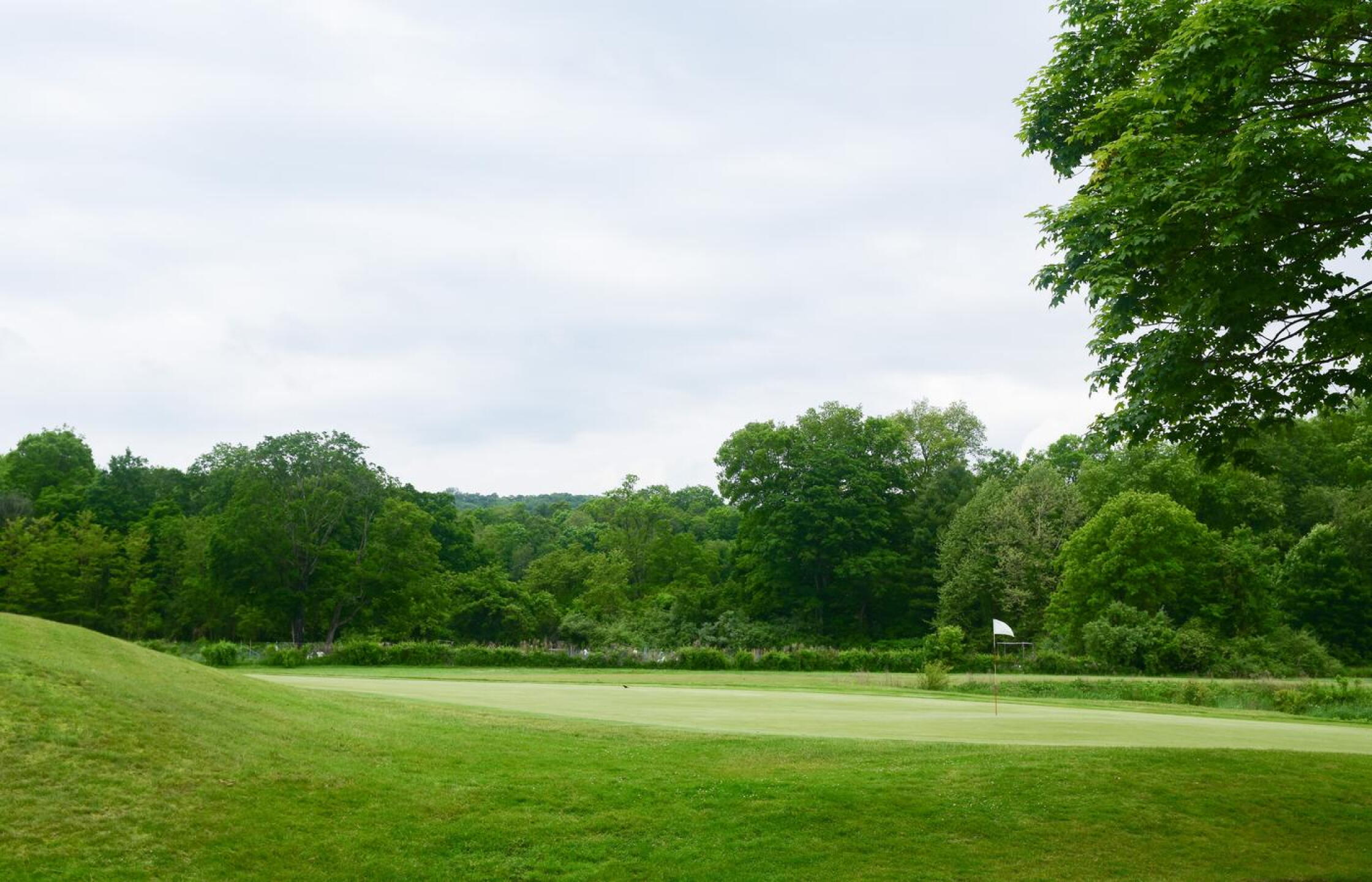 Sixth green: This layout is generally isolated, feeling quite apart from the everyday rush. (Photo submitted by AptlyLinked on 06/01/2025)