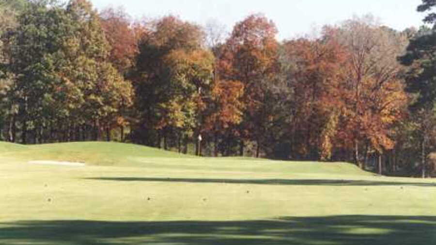 Musgrove CC: #16