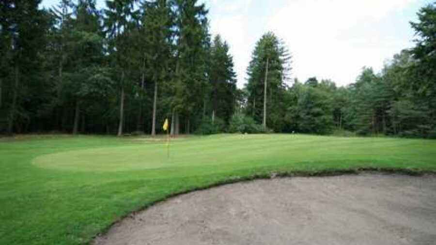 British Army GC Sennelager - Forest Pine: #7
