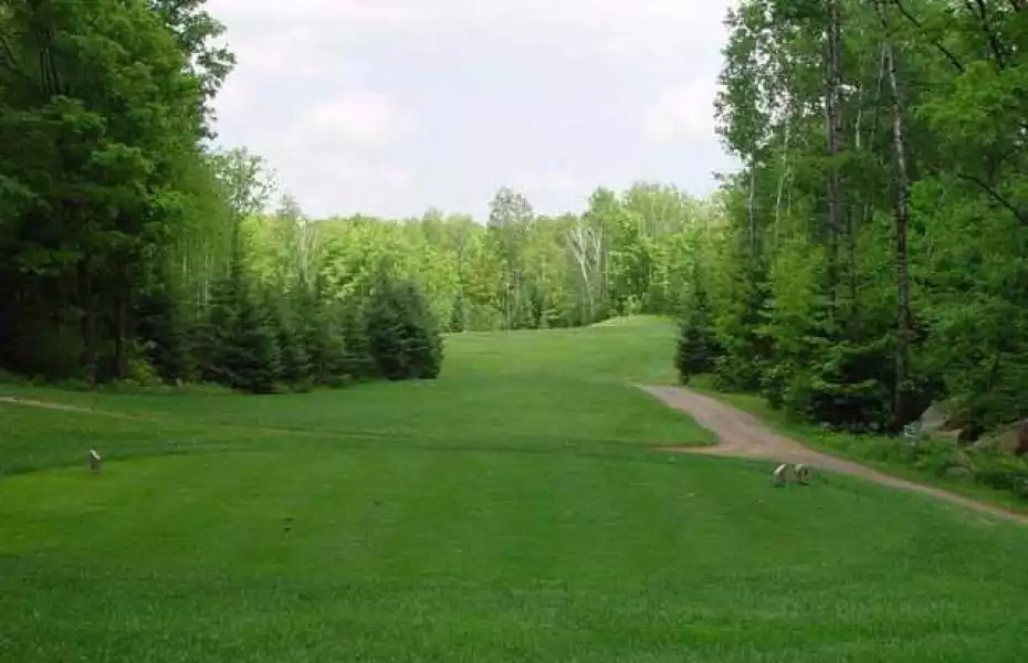 Ross' Teal Wing GC: #14