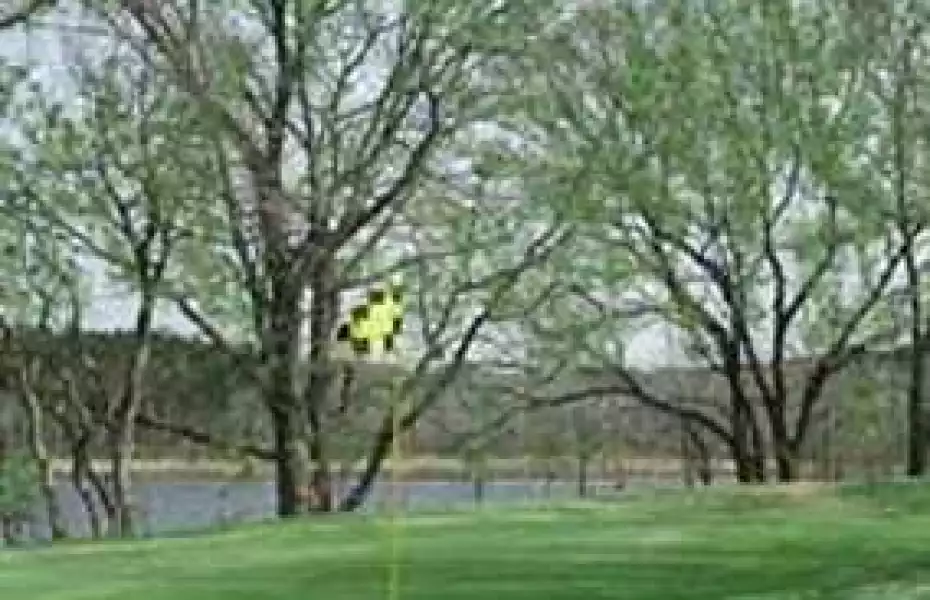 Oak Hill GC: #8