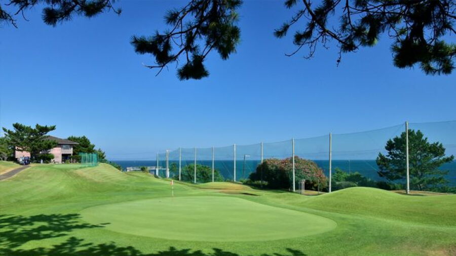 Daegu GC: #4