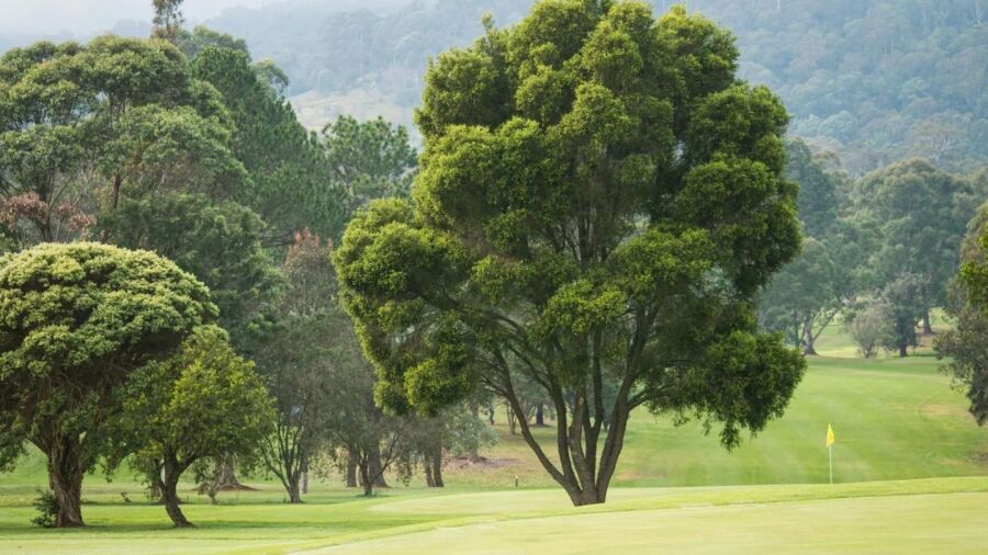 Bega CC