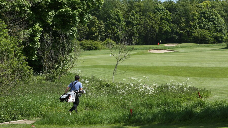 George Washington GC