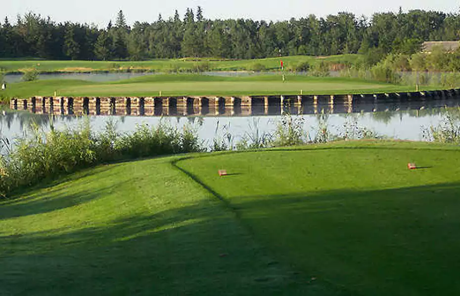 Goose Hummock GC: Island green