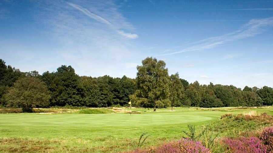 Walton Heath GC - Old: #15