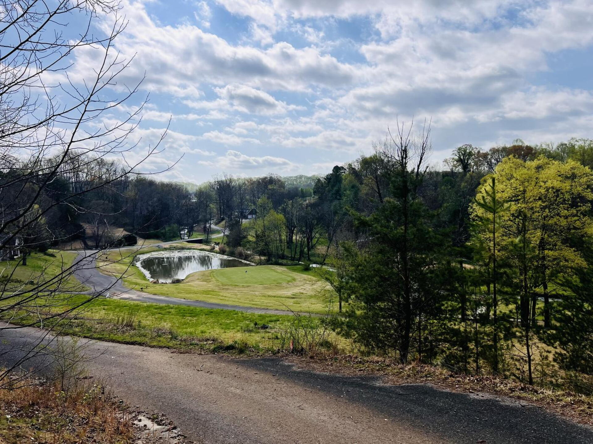 (Photo submitted by EubanksTn on 04/02/2025)