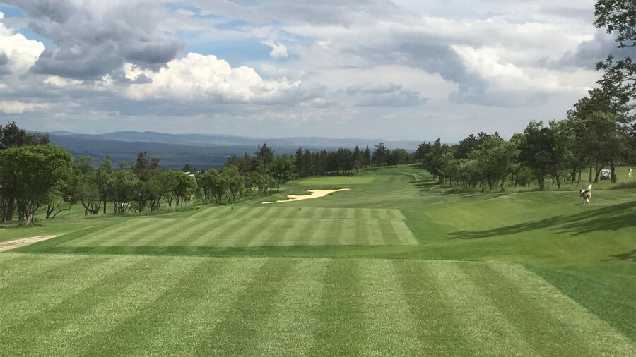 Tbilisi Hills GC: #11