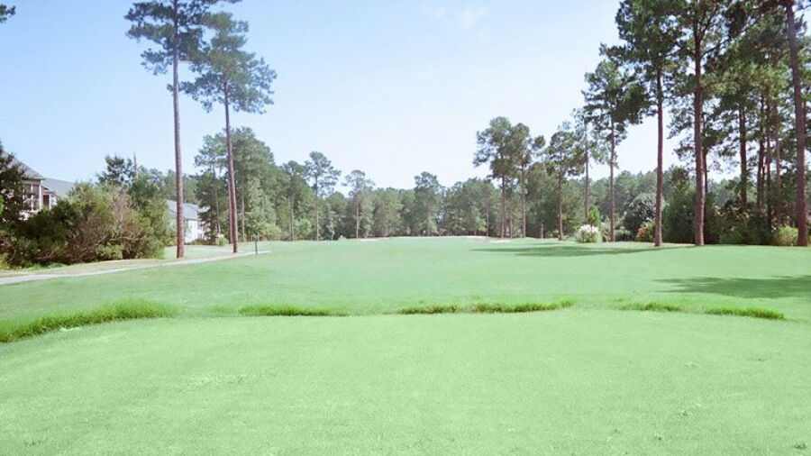 Heron Point GC: #13