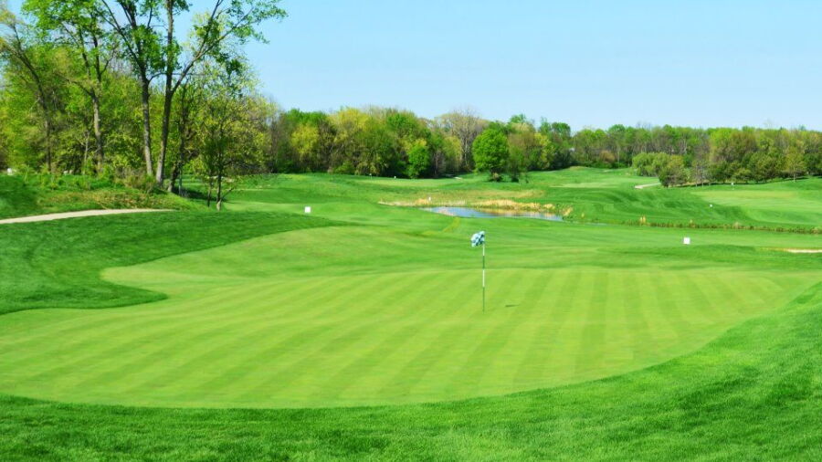 Buffer Park GC: #9