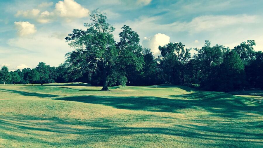 Brookhaven CC: #10