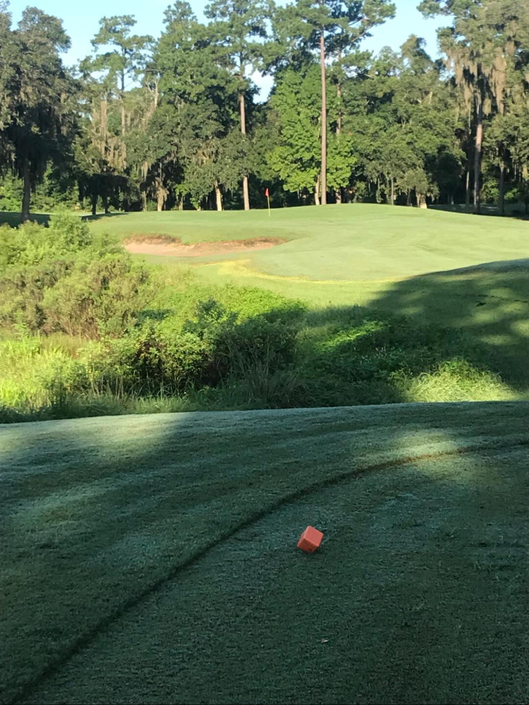 (Photo submitted by PinnacleStaffer on 07/31/2019)