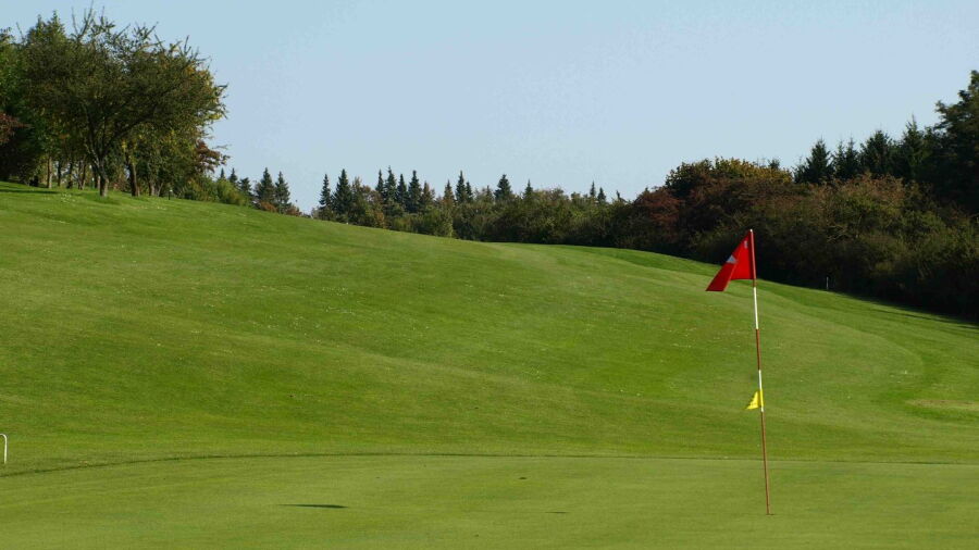 Bad Pyrmont GC: #4