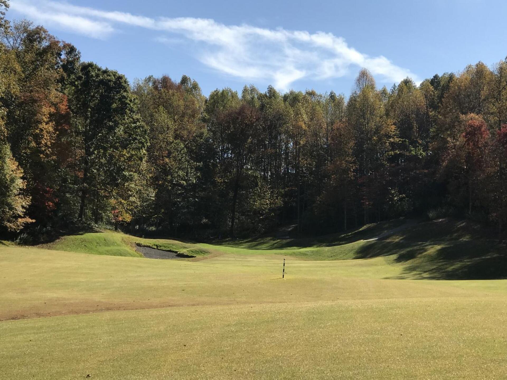 (Photo submitted by u288164102 on 10/20/2022)