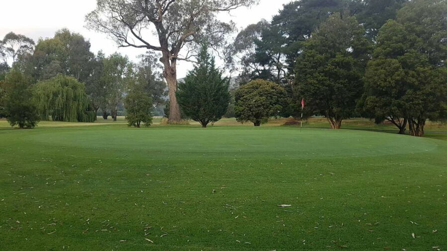Myrtleford GC