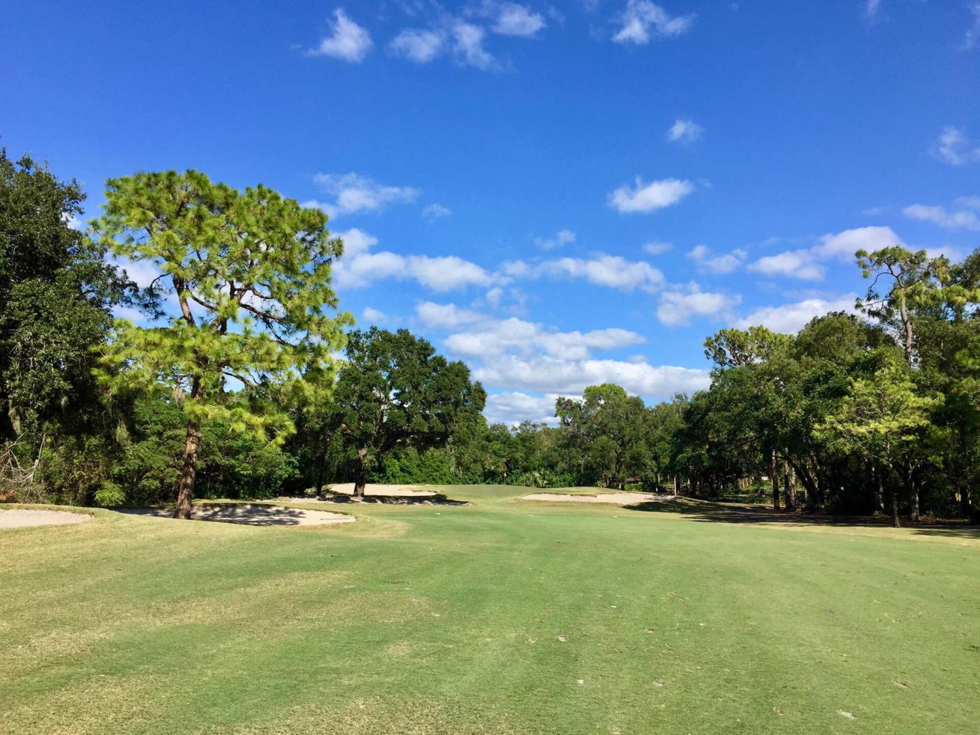 The narrow green at Innisbrook North's par-4 17th is well defended. (Photo submitted by TimGavrichGP on 12/20/2017)