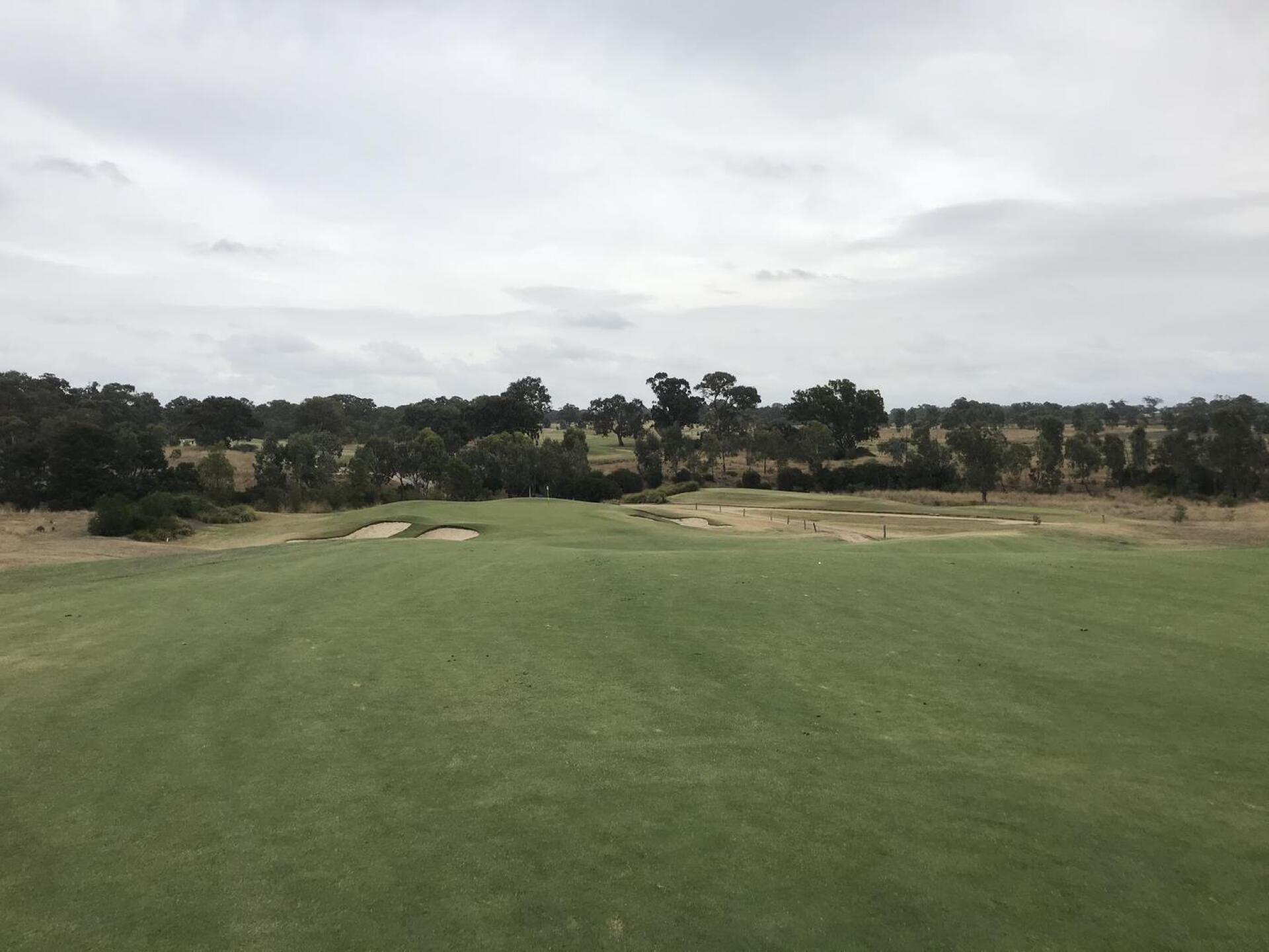 (Photo submitted by theglasseyegolfer on 03/08/2021)