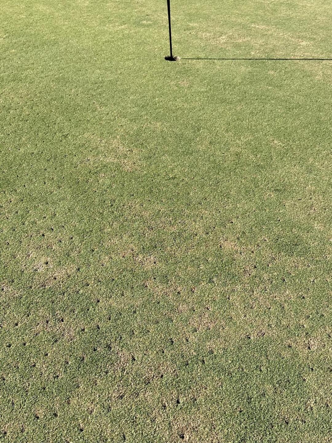 (Photo submitted by Jeff4735006 on 10/25/2024)