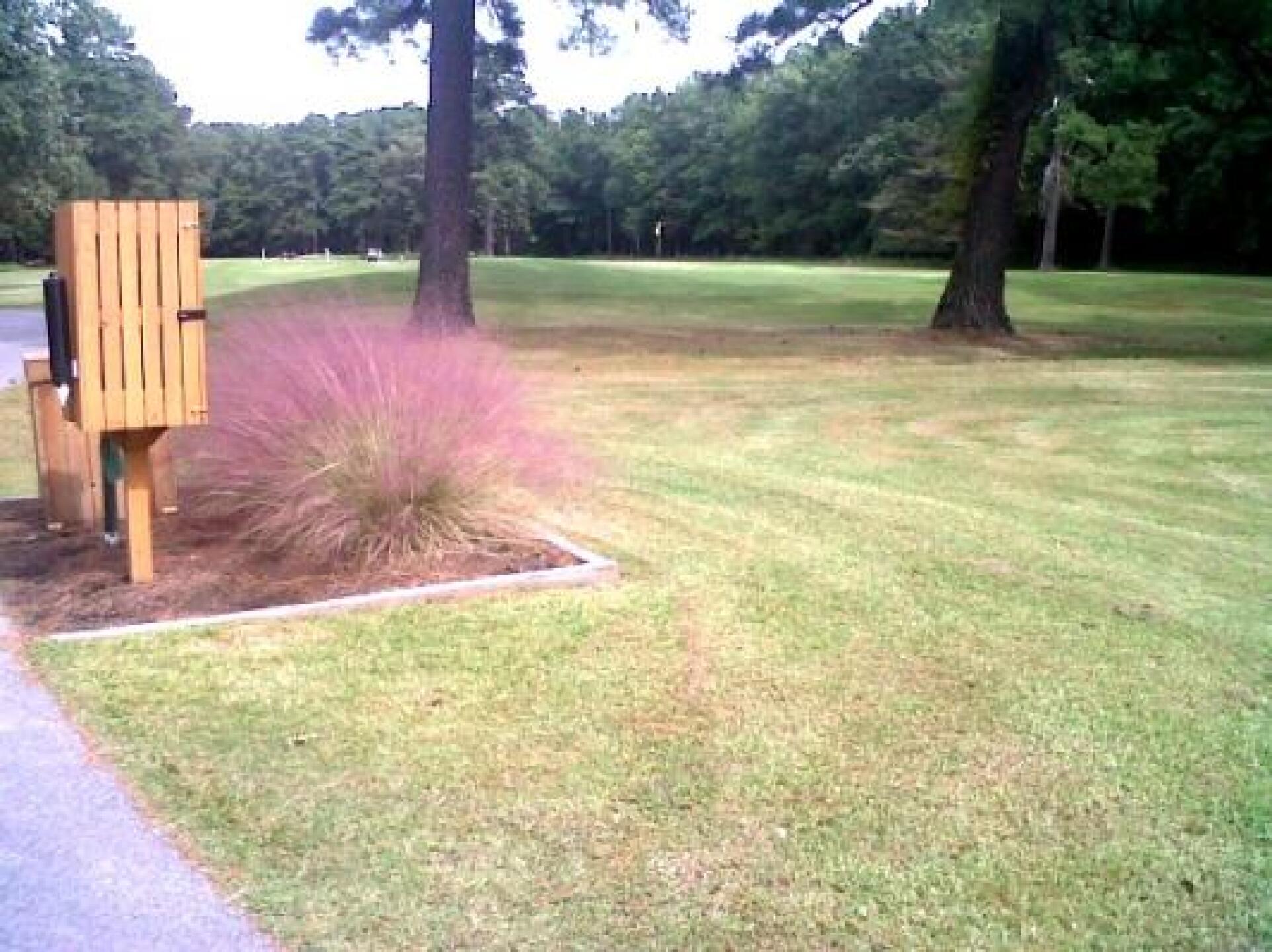 The fall brings such color (Photo submitted by Realestateangels on 11/06/2014)