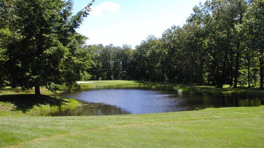 Blue Knob GC