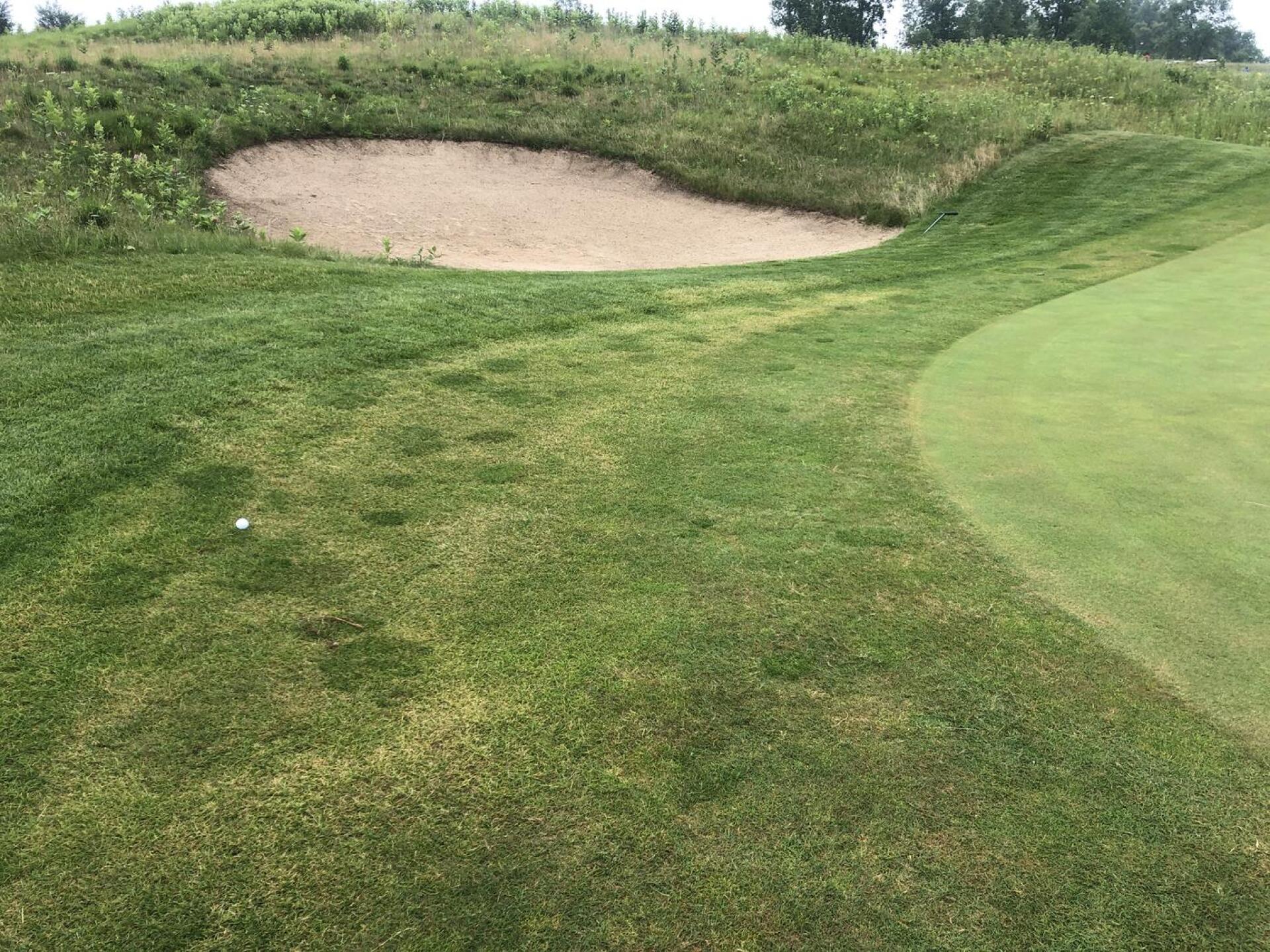 (Photo submitted by AlChervik69 on 07/12/2021)