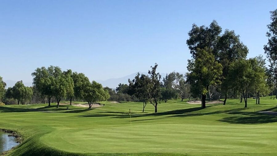 Goose Creek GC: #18