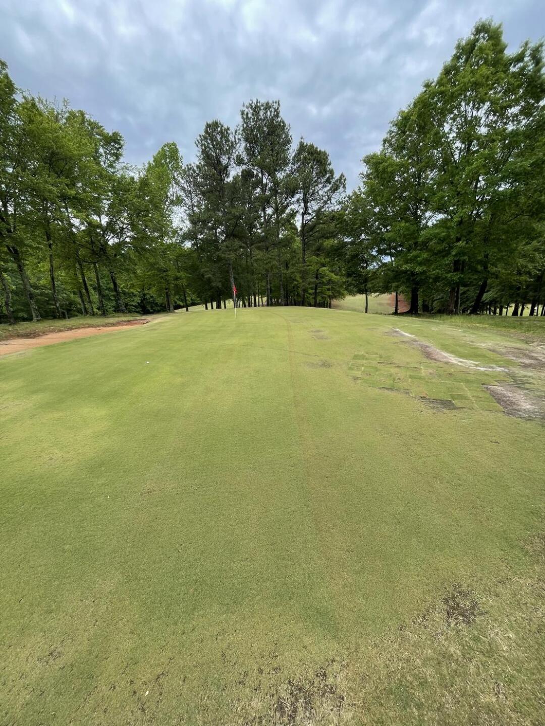 (Photo submitted by Zach7778057 on 05/08/2023)