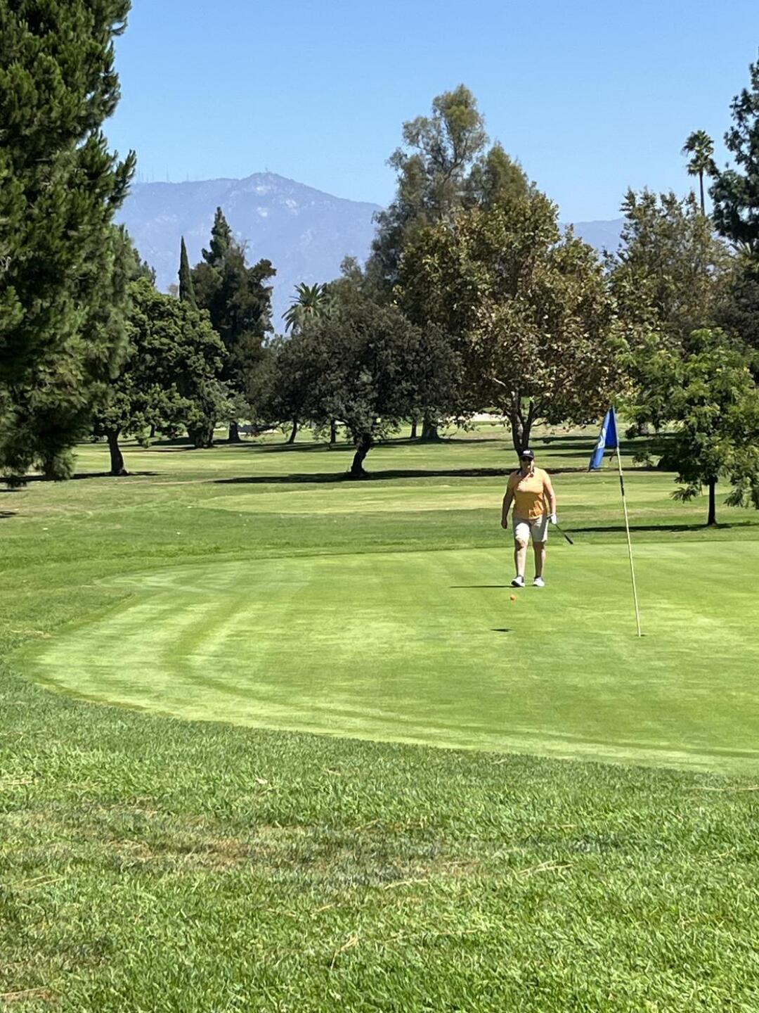 (Photo submitted by u018507495 on 08/23/2024)