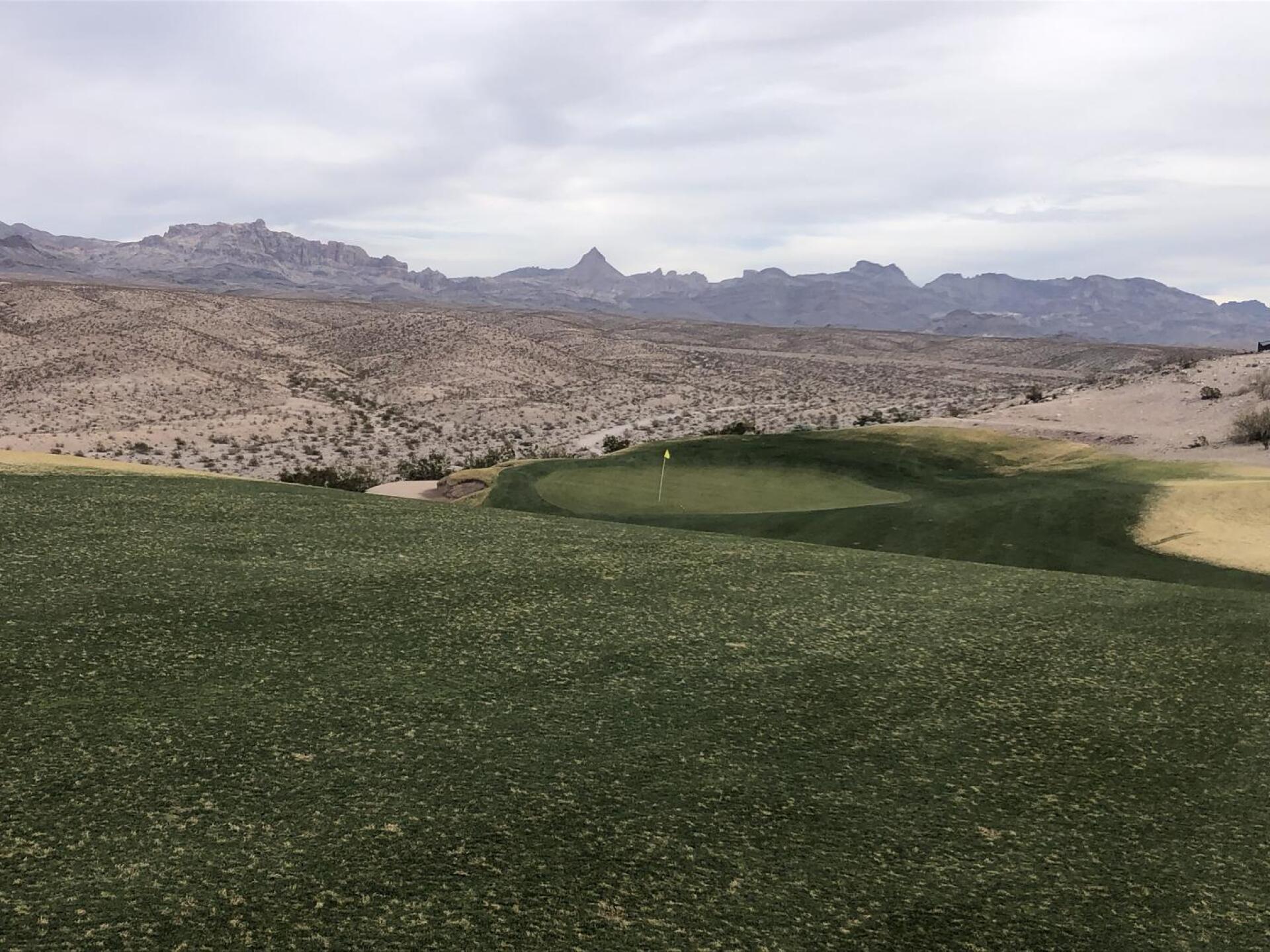 (Photo submitted by u000008076234 on 02/15/2022)